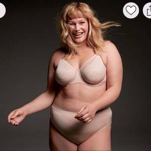 Wacoal Elevated Allure Underwire Bra in 40G